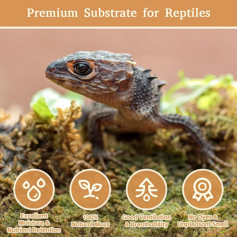 Riare 14OZ Premium Sphagnum Moss for Reptiles- 20QT Natural Reptile Moss Dried, Forest Live Moss for Terrarium, Frogs Snake Peat Moss Bedding for Leopard Gecko Turtle Anoles Salamanders Orchids - Image 3